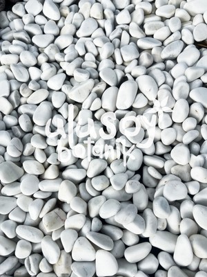 Ulusoy Botanik Dolomit Taş - Dekoratif Beyaz Taş - Bahçe Dekor / 1-2 cm / 5 kg