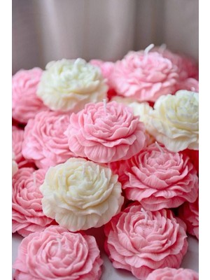 Beyaz ve Pembe Tonları Pudra Kokulu Şakayık Mum 5 Adet