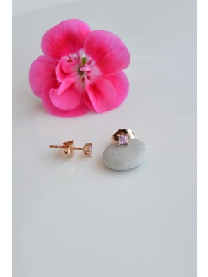 PremiumPort Renkli 3mm Tektaş Küpe, Şık ve Zarif Takı Seçeneği