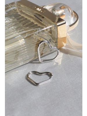 PremiumPort Gümüş Rengi Paslanmaz Çelik Kalp Tasarımlı Zarif Halka Küpe (1 Çift)