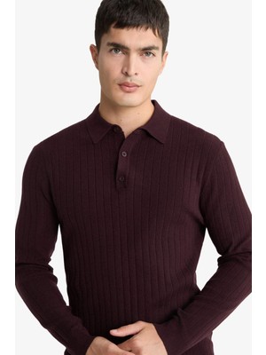 DeFacto Standart Fit Polo Yaka Triko Kazak F7576AX25WN