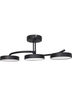 Normadia Modern 3 Renk Ledli Dekoratif Avize, Oturma, Mutfak ve Salonlar Için