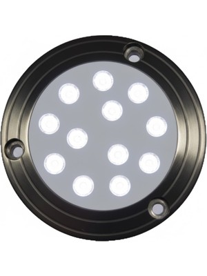 Asa Marine Su Altı Bronz 12 LED Lamba Mavi