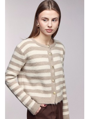 Saade Bej Çizgili Gold Düğmeli Bisiklet Yaka Hırka Std