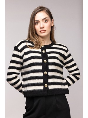 Saade Siyah Çizgili Gold Düğmeli Bisiklet Yaka Hırka Std