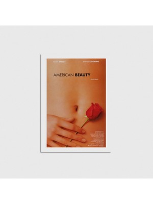 Domirus American Beauty (1999) Film Posteri Çerçevesiz Poster Duvar Dekorasyonu