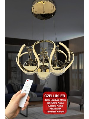 Normadia Modern Arya Xl Fanuslu Şeker Top 4 Lü Sarkıt Avize, Şıklık ve Işık Kalitesi