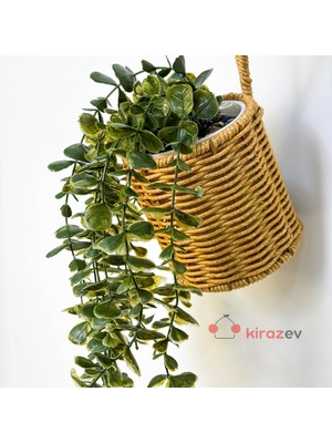 Kirazev Beyaz Saksılı Yeşil Okaliptus 28CM Sarkıt Yapay Bitki