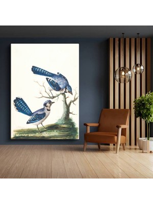 Limitless Design John James Audubon Mavi Alakarga Kuşları Kanvas Tablo Sanat Tablosu Klasik Ressam Tablosu