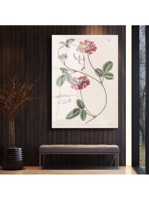 Limitless Design Pierre-Joseph Redouté Kırmızı Çiçek Botanik Illüstrasyon Cam Tablo Dijital Baskı Duvar Tablosu