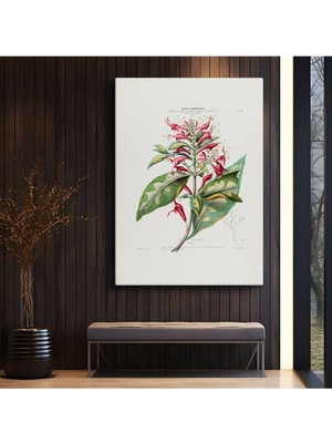 Limitless Design Charles-François Brisseau De Mirbel Amerika Florası Botanik Kanvas Tablo Klasik Ressam Tablosu