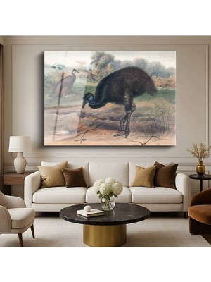 Limitless Design John Gould Avustralya Emusu Kuş Resmi Cam Tablo Dijital Baskı Duvar Tablosu Dekor Tablo