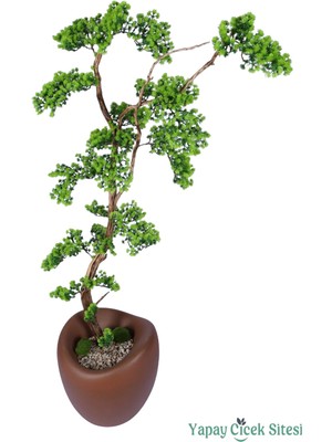 Yapay Çiçek Sitesi Fiber Saksıda Doğal Gövdeli Bonsai Yapay Ağaç 170 cm