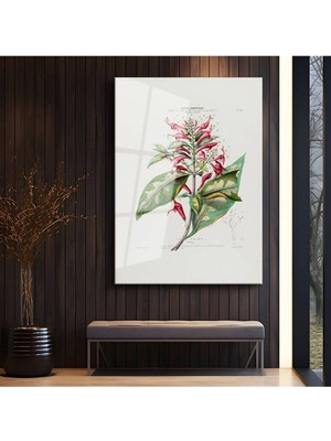 Limitless Design Charles-François Brisseau De Mirbel Amerika Florası Botanik Cam Tablo Dijital Baskı Duvar Tablosu