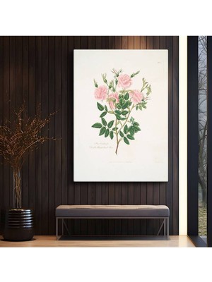 Limitless Design Pierre-Joseph Redouté Pembe Güller Botanik Sanatı Kanvas Tablo Klasik Ressam Tablosu