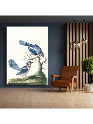 Limitless Design John James Audubon Mavi Alakarga Kuşları Cam Tablo Dijital Baskı Duvar Tablosu Dekor Tablo