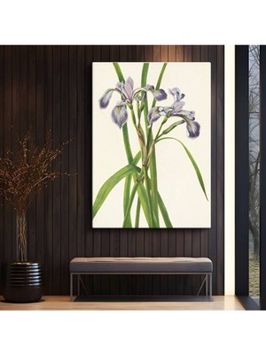 Limitless Design Pierre-Joseph Redouté Mor Süsen Çiçekleri Kanvas Tablo Sanat Tablosu Klasik Ressam Tablosu