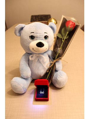 Trend Robo Sevgiliye Özel Ayıcık ve Gül Hediye Seti – 925 Ayar Gümüş Sonsuzluk Kolye Işıklı Kutulu