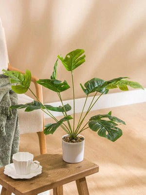 LC Waikiki Dekoratif Saksılı Yapay Çiçek 50 cm  (S6)