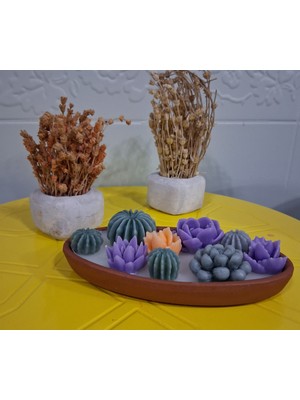 Twinroots Dekoratif Toprak Kase Kaktüs Mum Tasarımı