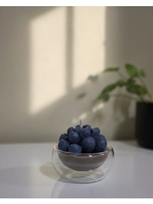 Twinroots Dekoratif Pinterest Tasarım Sukulent Mavi Renkli Mum