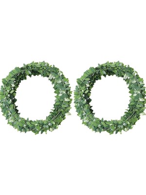 Skygo Telli Yapay Sarmaşık (15 Metre)