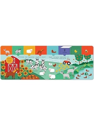 Skygo Pencereli Kitap Hayvanlar Âlemi