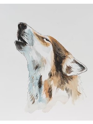 Skygo Horadam Aquarell Naturals Vegan 15 ml Tüp 730 Graphite