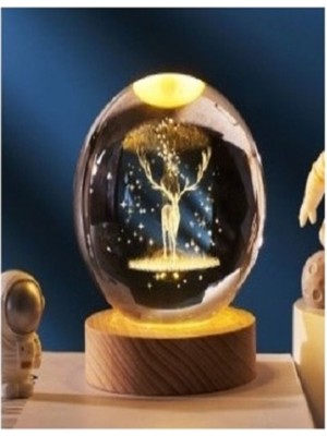 Normadia Ren Geyiği Temalı Usb’li Dekoratif Cam Küre