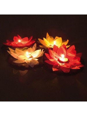 Zenvia Su Feneri ZNV2025