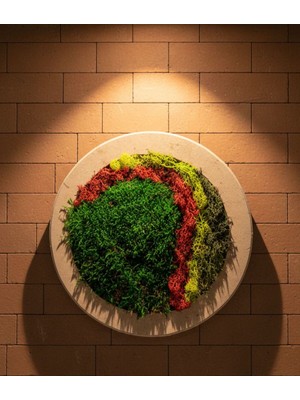 EA Yuvarlak Yosun Tablosu