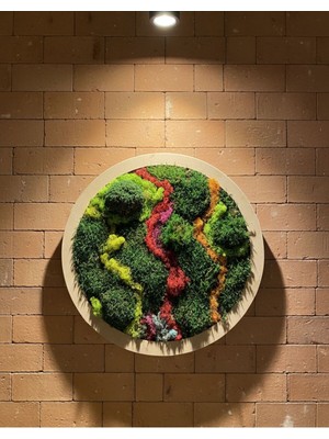 EA Yuvarlak Yosun Tablosu