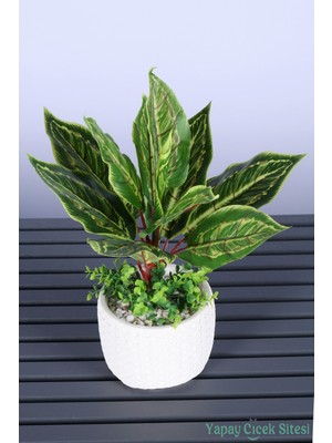 Yapay Çiçek Sitesi Beton Saksıda Yapay Bitkili Tanzimler Model 26