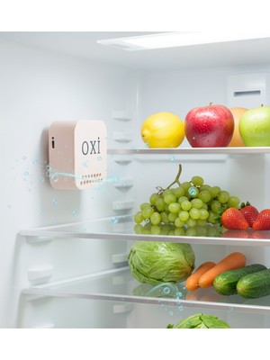 İNOSORUS OXİ Akıllı araç buz dolabı hava temizleme koku giderici ozon dezenfeksiyon cihazı (Şarjlı)