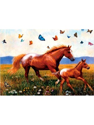 Duck Hoby 50X40 Boncuklu Taş Mozaik Elmas Goblen Pano Tablo Resim Boncuk Puzzle Dıamond Paıntıng Hı Stone