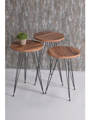 Zigon Sehpa 3 Lü Krem Ahşap Tel Ayak