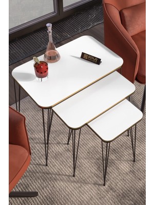 Zigon Sehpa Kr Çift Beyaz Tel Siyah Ayak