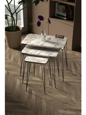 Zigon Sehpa Kr ve Orta Sehpa Kr Set Gümüş Efes Tel Ayak Siyah