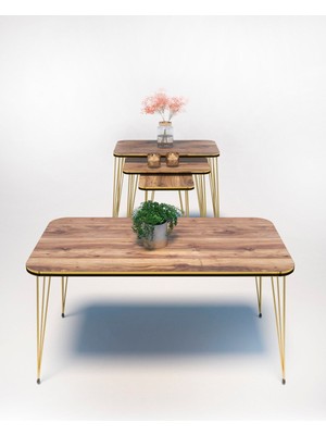 Zigon Sehpa Kr ve Orta Sehpa Kr Set Çift Gold Ceviz Tel 1110