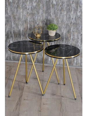 Zigon Sehpa Gümüş Bendir Tel