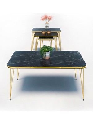 Zigon Sehpa Kr ve Orta Sehpa Kr Set Çift Gold Bendir Tel 1113