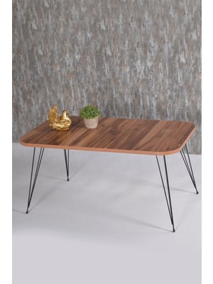 Orta Sehpa ve Zigon Sehpa Ceviz Set Tel Ayak Kr