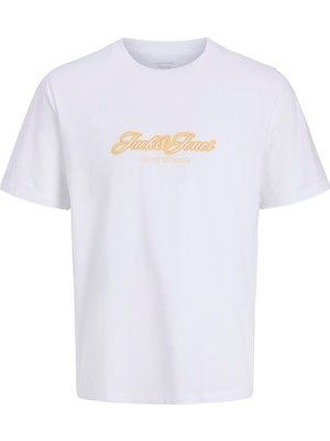 Jack & Jones Erkek Gögüs Logo Baskili Tisört - Catskill
