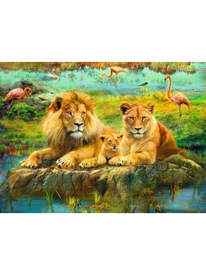 500P Puzzle Aslan Ailesi, Yapboz