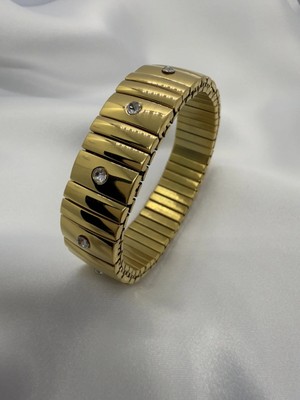 BG Jewellery Vıp Taşlı Çelik Lastikli Bileklik