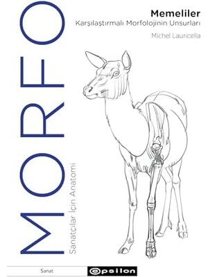 Morfo - Memeliler Karşılaştırmalı Morfolojinin Unsurları