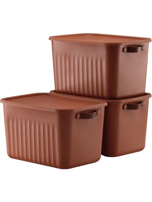 Eco Lounge 3 Adet Modern Kapaklı Saklama Kutusu Seti -15 Litre – Turuncu -Taşınabilir Kulplu, Dolap Içi Düzenleyici, Çok Amaçlı Organizer Kutu, Oyuncak & Kıyafet Kutusu