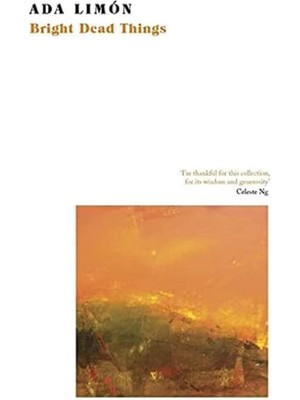 Eco Lounge Bright Things