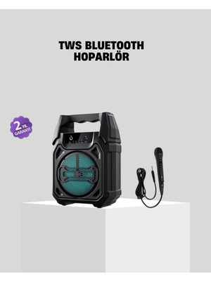 Ayena Moda 6.5 Inç Bluetooth Hoparlör Mikrofonlu Taşınabilir Karaoke ve Parti Sistemi