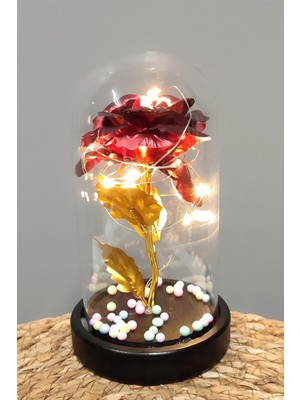 Ayena Moda Çiçek Işıklı LED Fanus